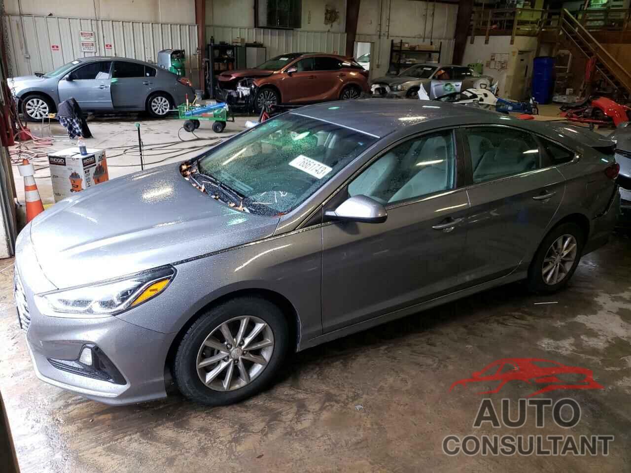 HYUNDAI SONATA 2019 - 5NPE24AF4KH768094