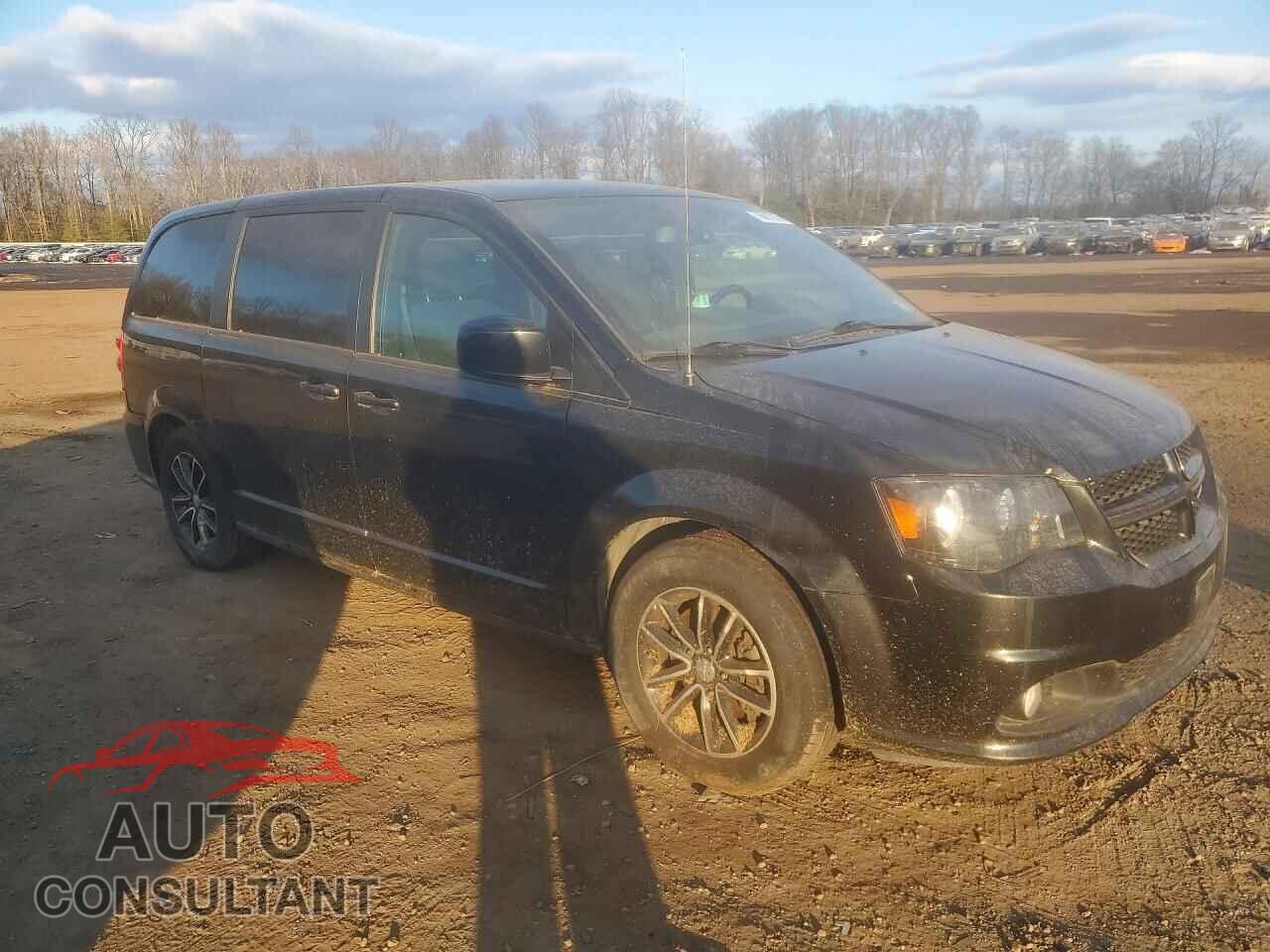 DODGE All Models 2018 - 2C4RDGBG2JR220889