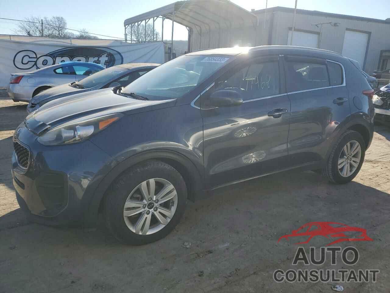 KIA SPORTAGE 2017 - KNDPM3ACXH7244559