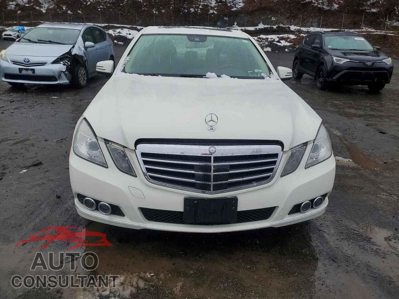 MERCEDES-BENZ E-CLASS 2010 - WDDHF8HB7AA090271