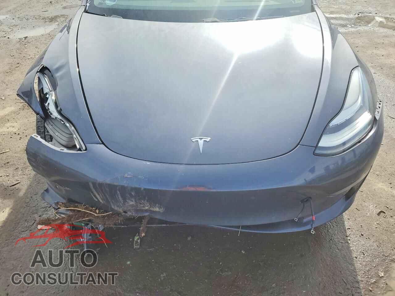 TESLA MODEL 3 2019 - 5YJ3E1EA0KF407410