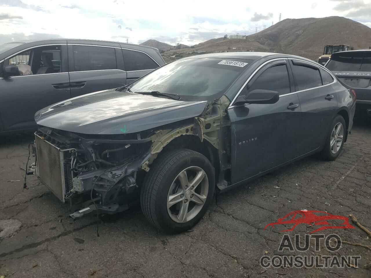 CHEVROLET MALIBU 2019 - 1G1ZB5ST6KF114678