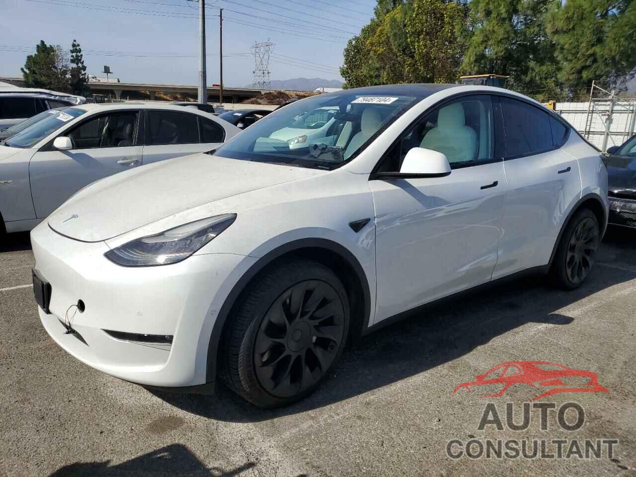 TESLA MODEL Y 2020 - 5YJYGDEE5LF040459