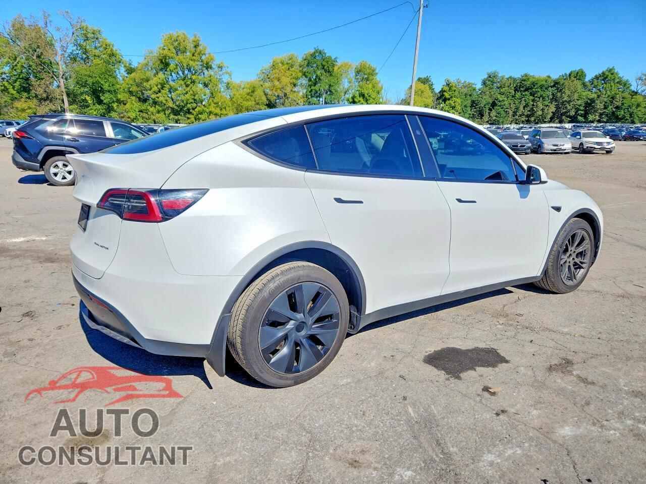 TESLA MODEL Y 2024 - 7SAYGDEE1RF202731