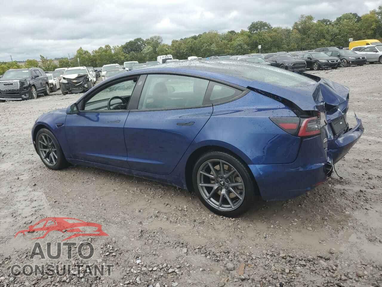 TESLA MODEL 3 2021 - 5YJ3E1EA0MF088352