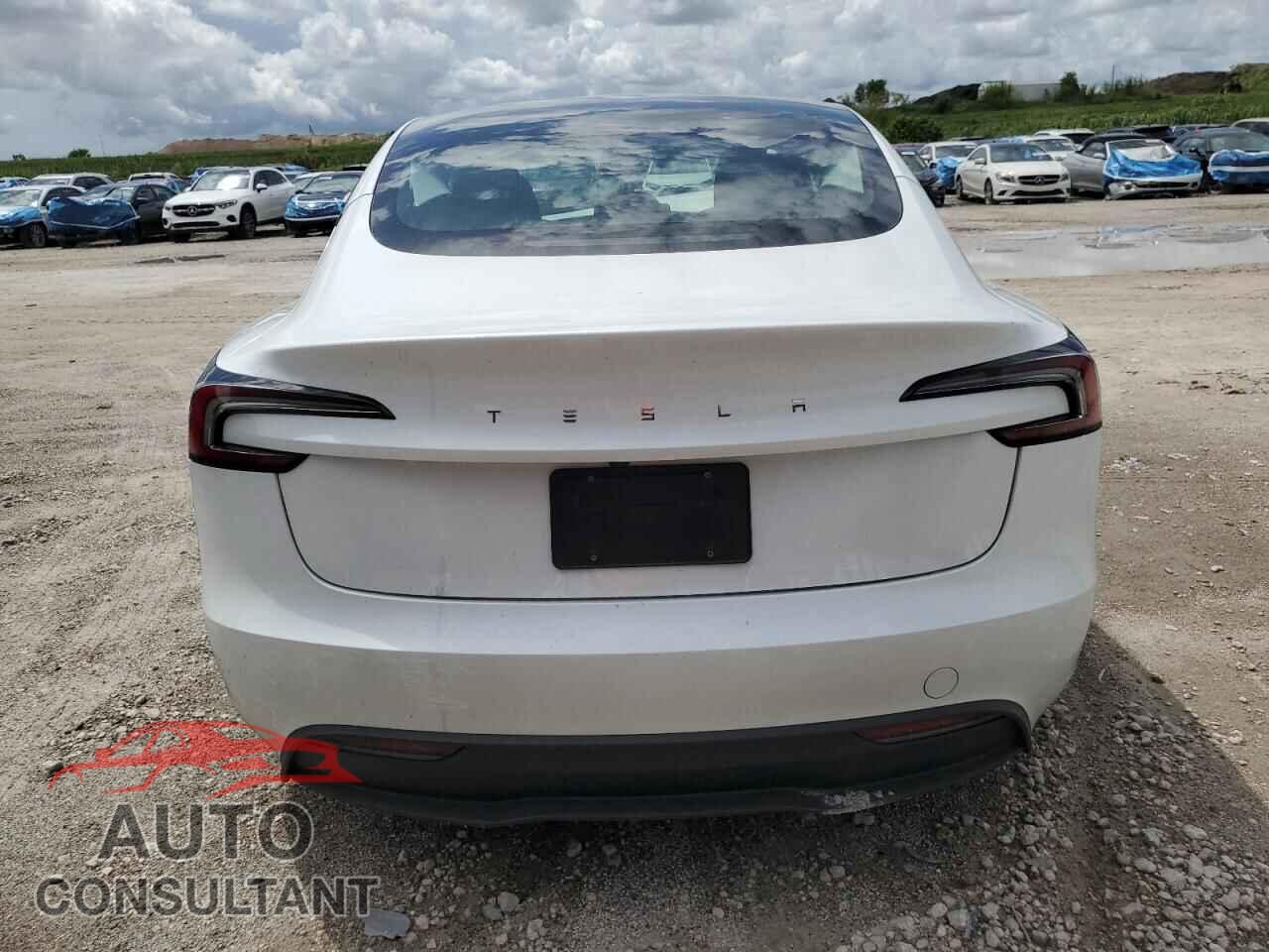 TESLA MODEL 3 2024 - 5YJ3E1EA4RF733219