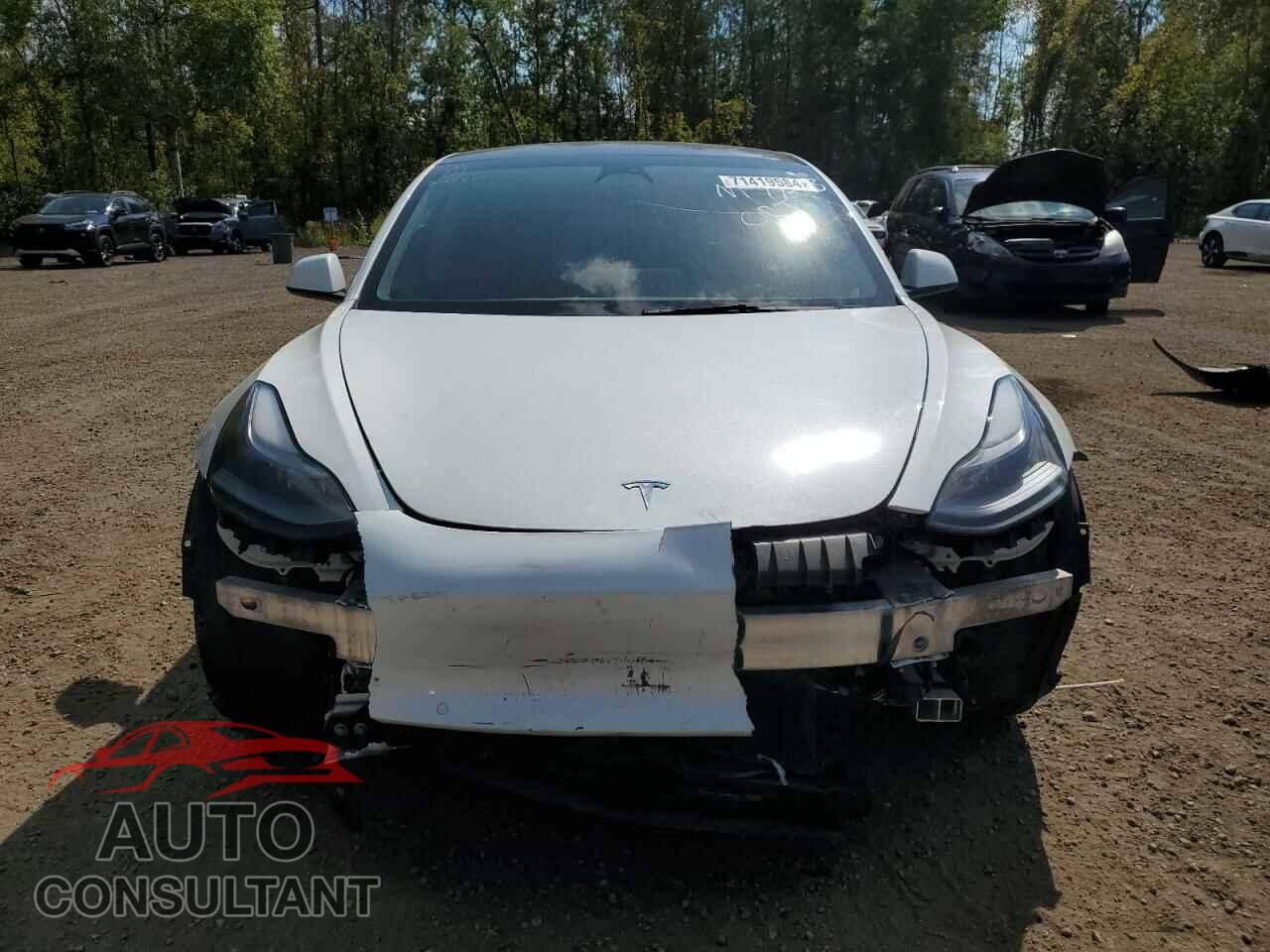 TESLA MODEL 3 2022 - 5YJ3E1EBXNF193443
