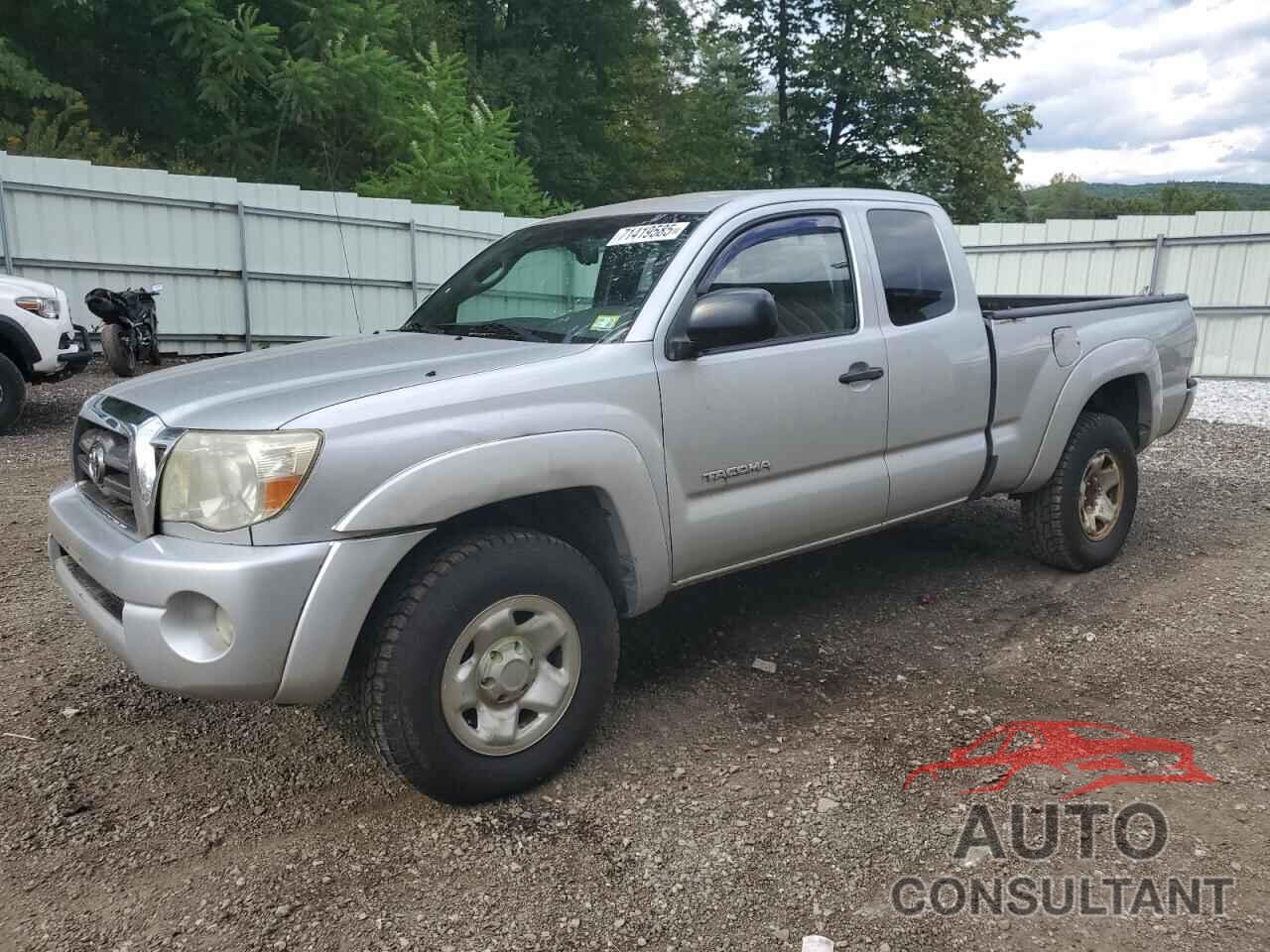 TOYOTA TACOMA 2009 - 5TEUX42N19Z655195