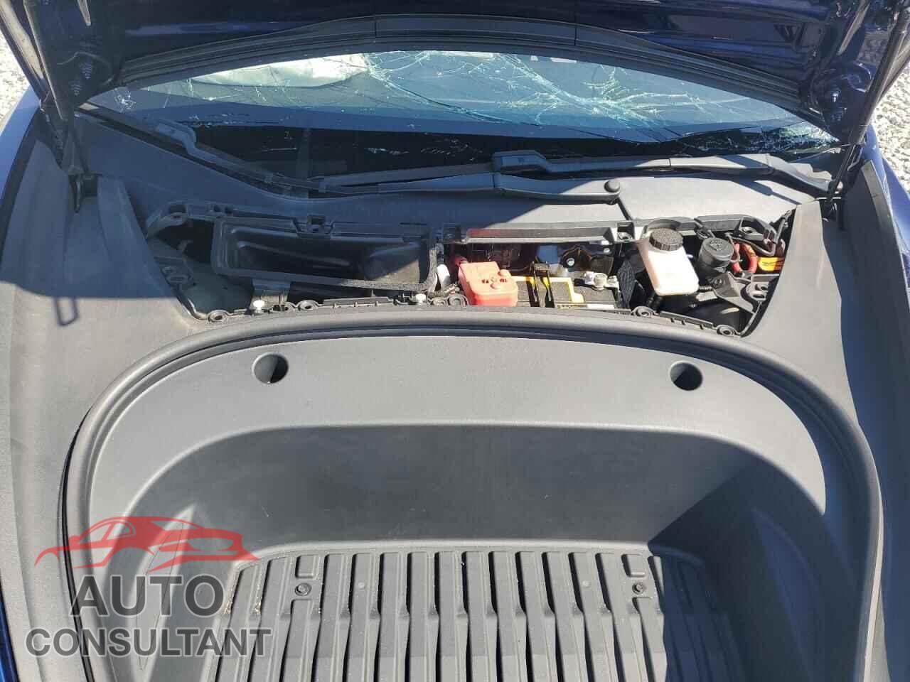 TESLA MODEL 3 2021 - 5YJ3E1EB5MF974885