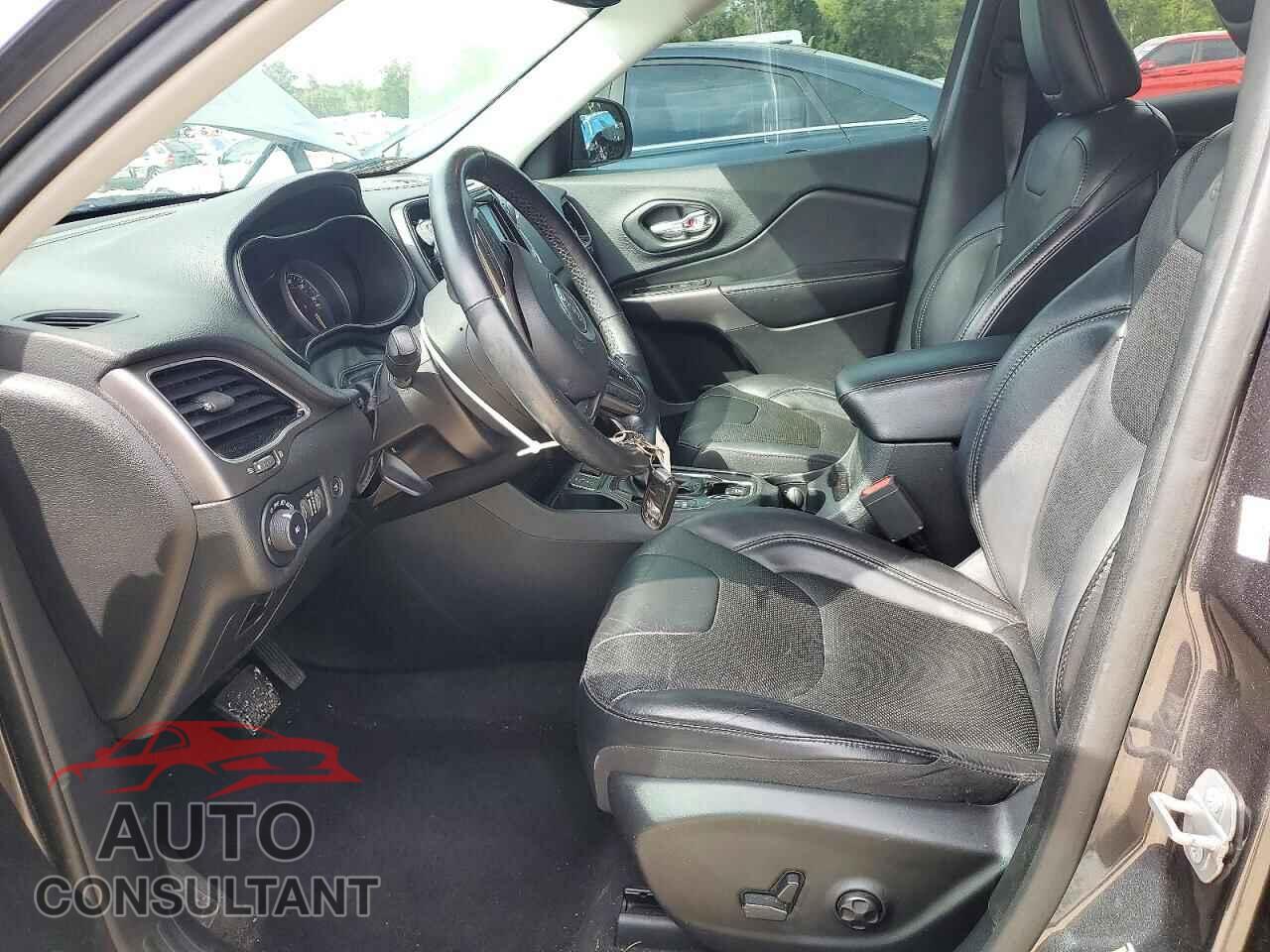 JEEP CHEROKEE 2019 - 1C4PJLDBXKD348893