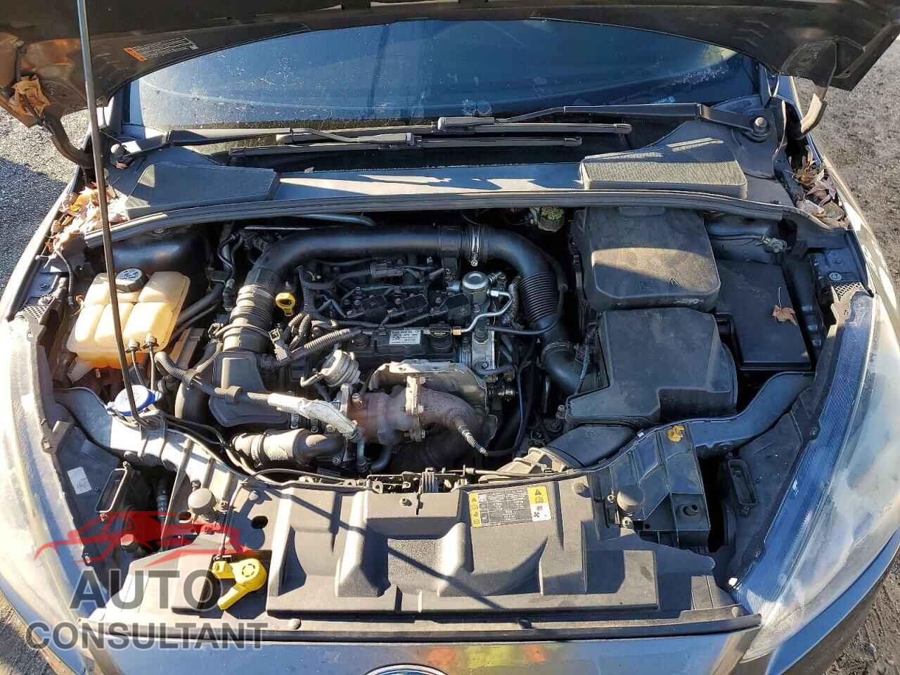 FORD FOCUS 2016 - 1FADP3FE8GL224391