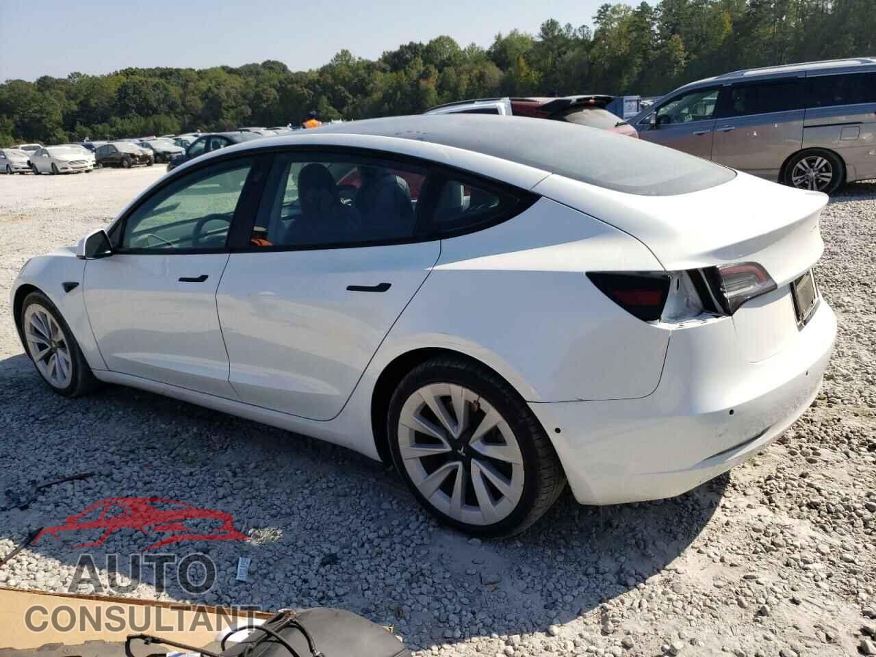 TESLA MODEL 3 2021 - 5YJ3E1EA5MF849215