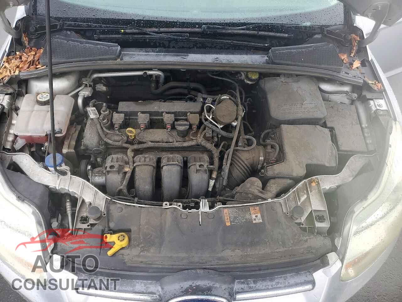 FORD FOCUS 2014 - 1FADP3F22EL342326