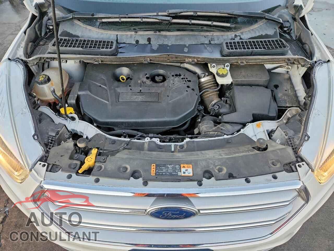 FORD ESCAPE 2017 - 1FMCU9J93HUE95765