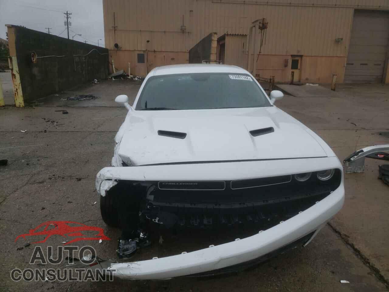 DODGE CHALLENGER 2019 - 2C3CDZAG8KH534657