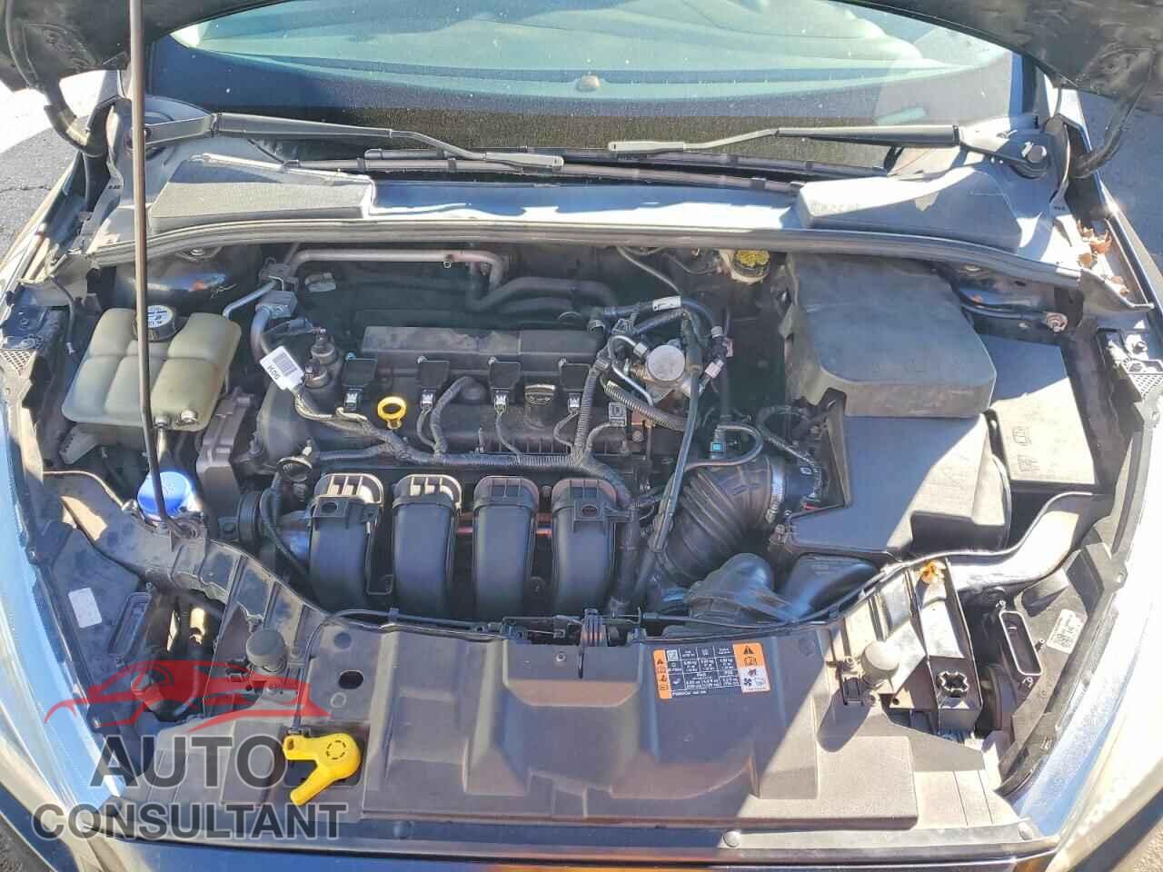 FORD FOCUS 2016 - 1FADP3F21GL384165