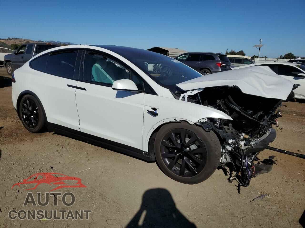 TESLA MODEL X 2024 - 7SAXCBE54RF443792