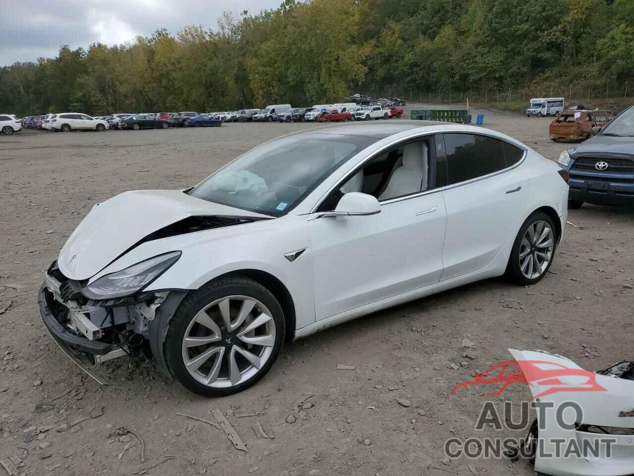 TESLA MODEL 3 2020 - 5YJ3E1EB9LF796087