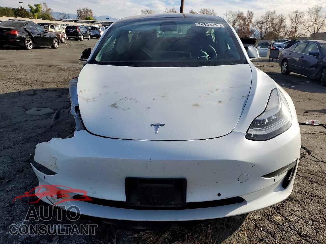 TESLA MODEL 3 2020 - 5YJ3E1EA9LF805894