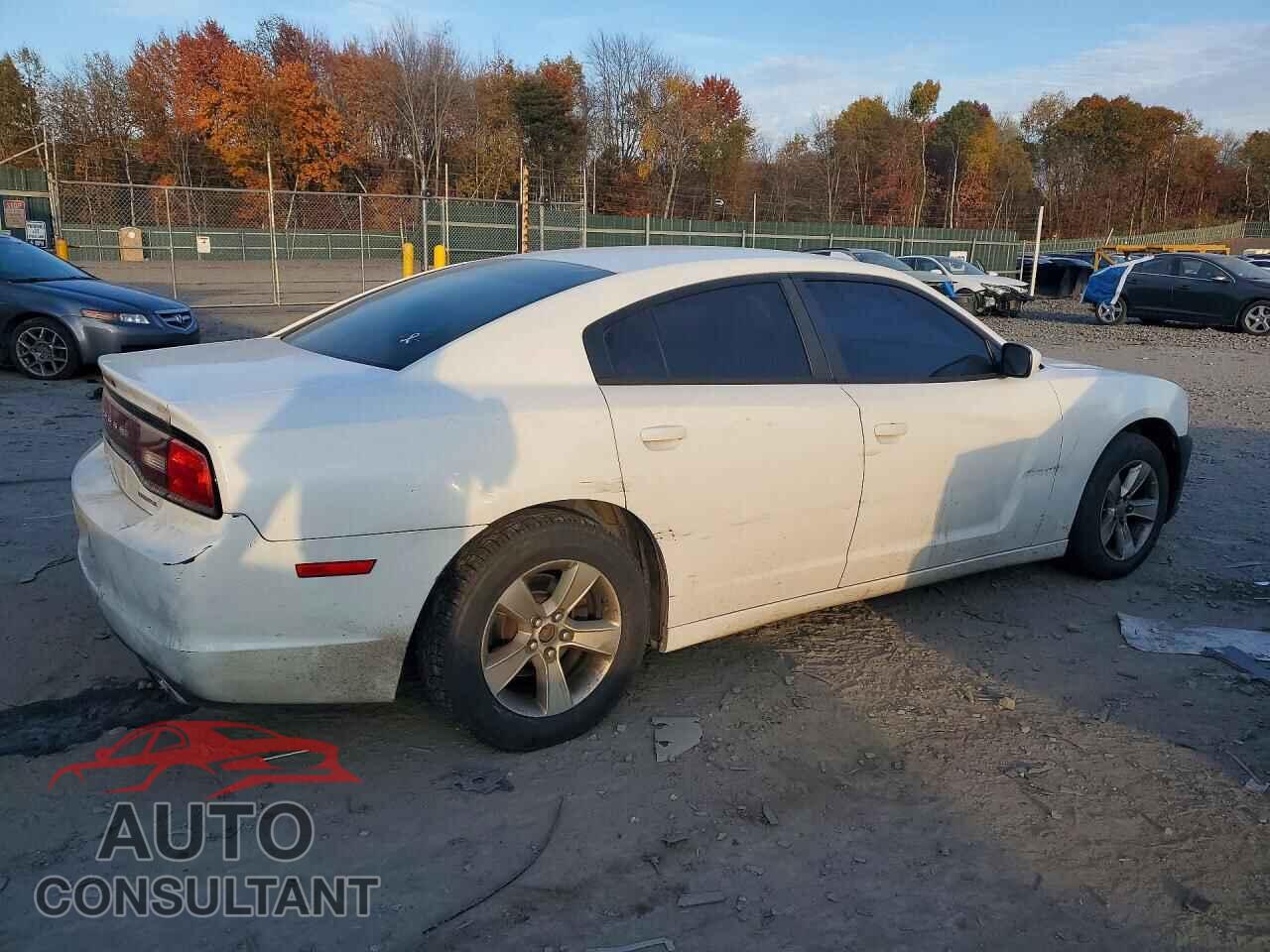 DODGE CHARGER 2011 - 2B3CL3CG7BH545336