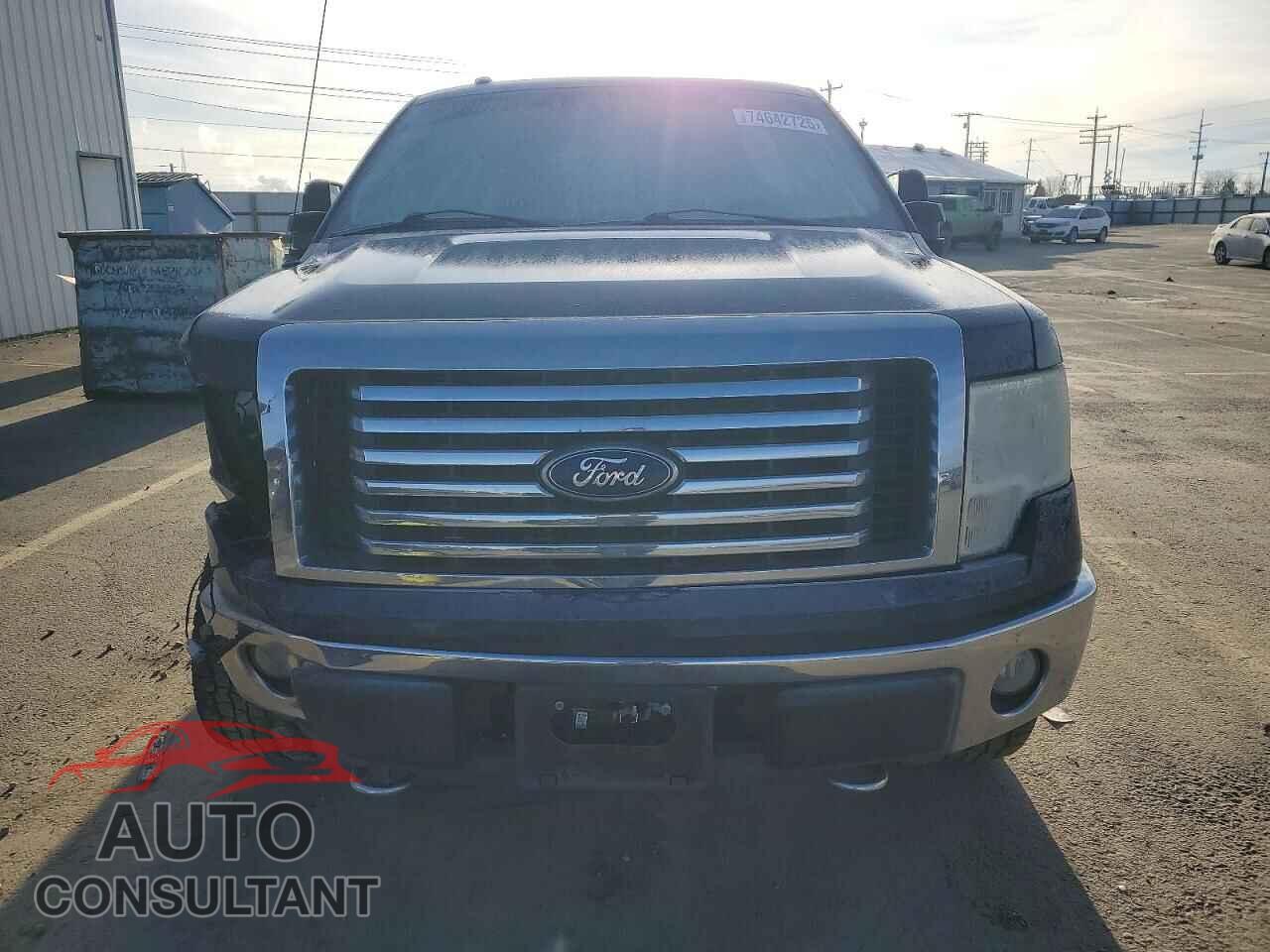 FORD F-150 2010 - 1FTFW1EV3AFB83976