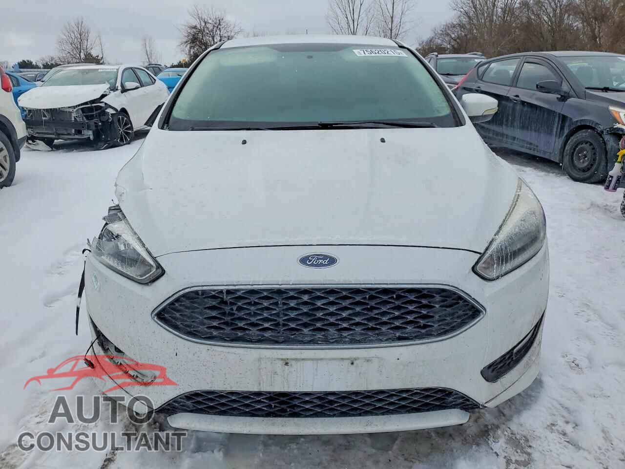FORD FOCUS 2016 - 1FADP3F27GL272969