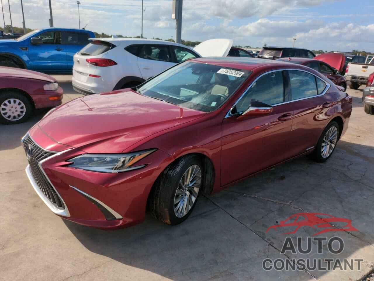 LEXUS ES300 2022 - 58AFA1C13NU013265