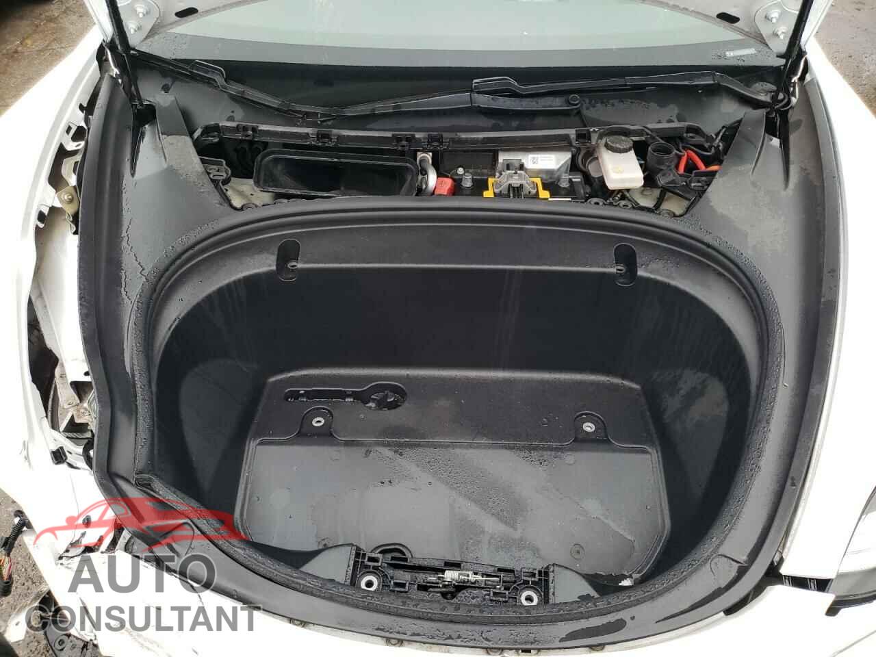 TESLA MODEL 3 2020 - 5YJ3E1EA3LF616075