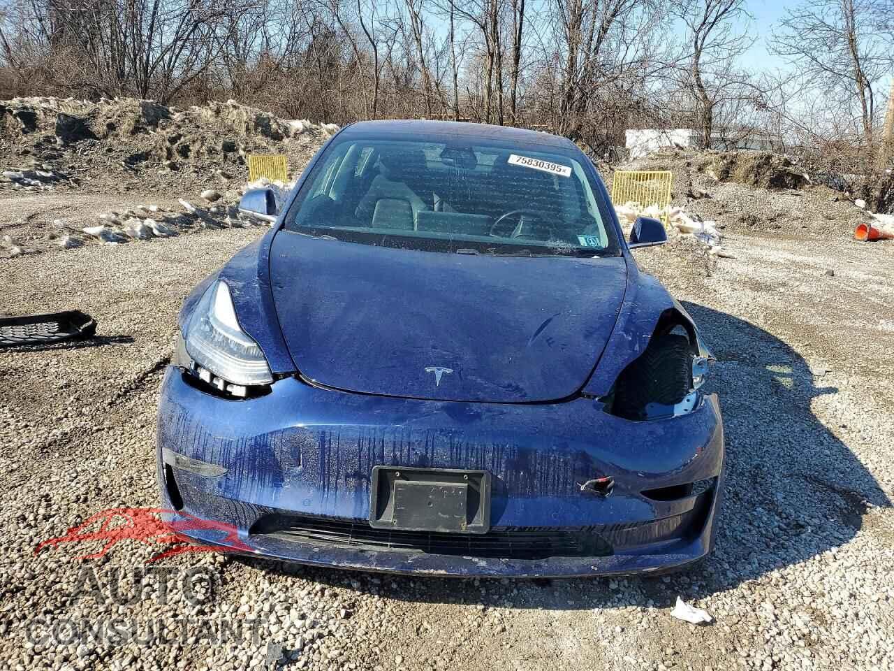 TESLA MODEL 3 2018 - 5YJ3E1EA6JF077951