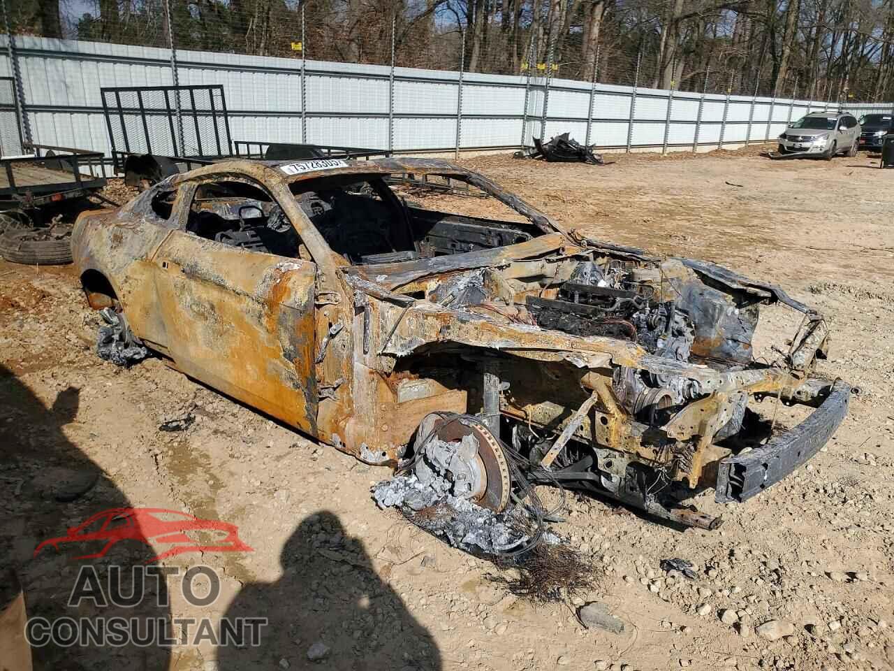 FORD MUSTANG 2015 - 1FA6P8CF0F5379801