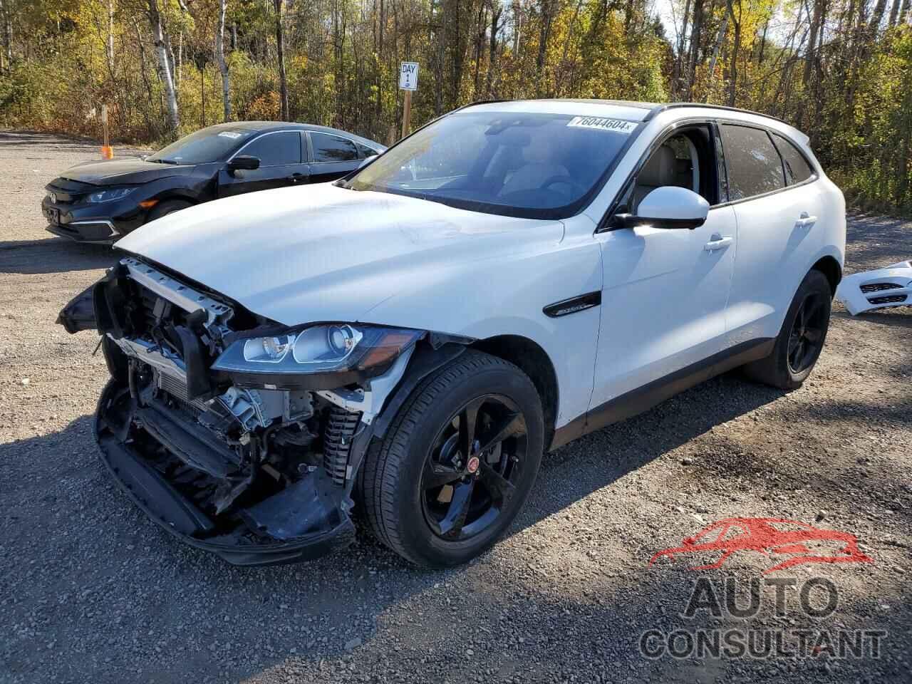 JAGUAR F-PACE 2019 - SADCK2FX1KA392222