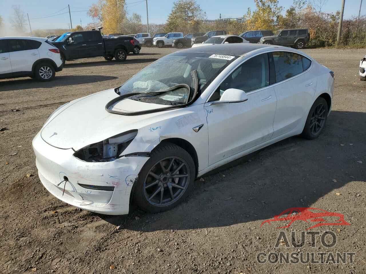 TESLA MODEL 3 2019 - 5YJ3E1EA5KF483219