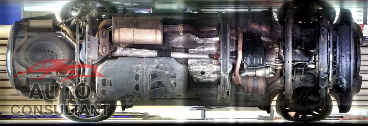 DODGE NITRO 2011 - 1D4PT4GK4BW563754