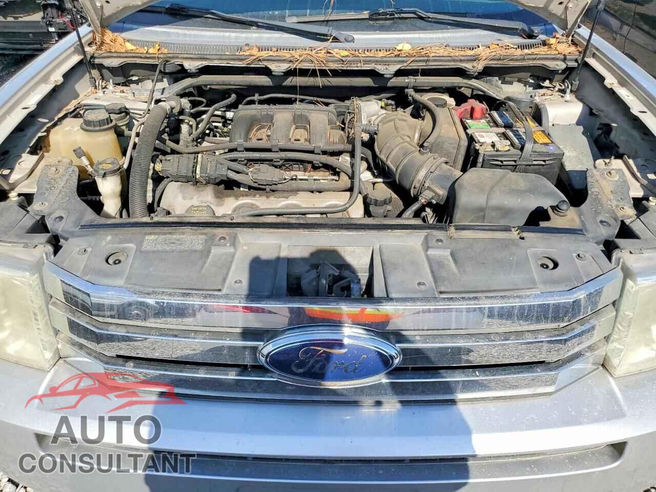 FORD FLEX 2009 - 2FMDK52CX9BA84089