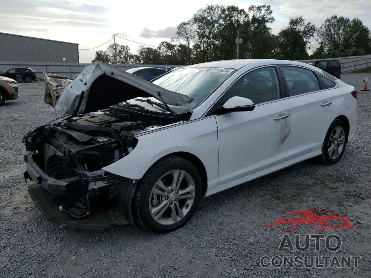 HYUNDAI SONATA 2018 - 5NPE34AF4JH655631