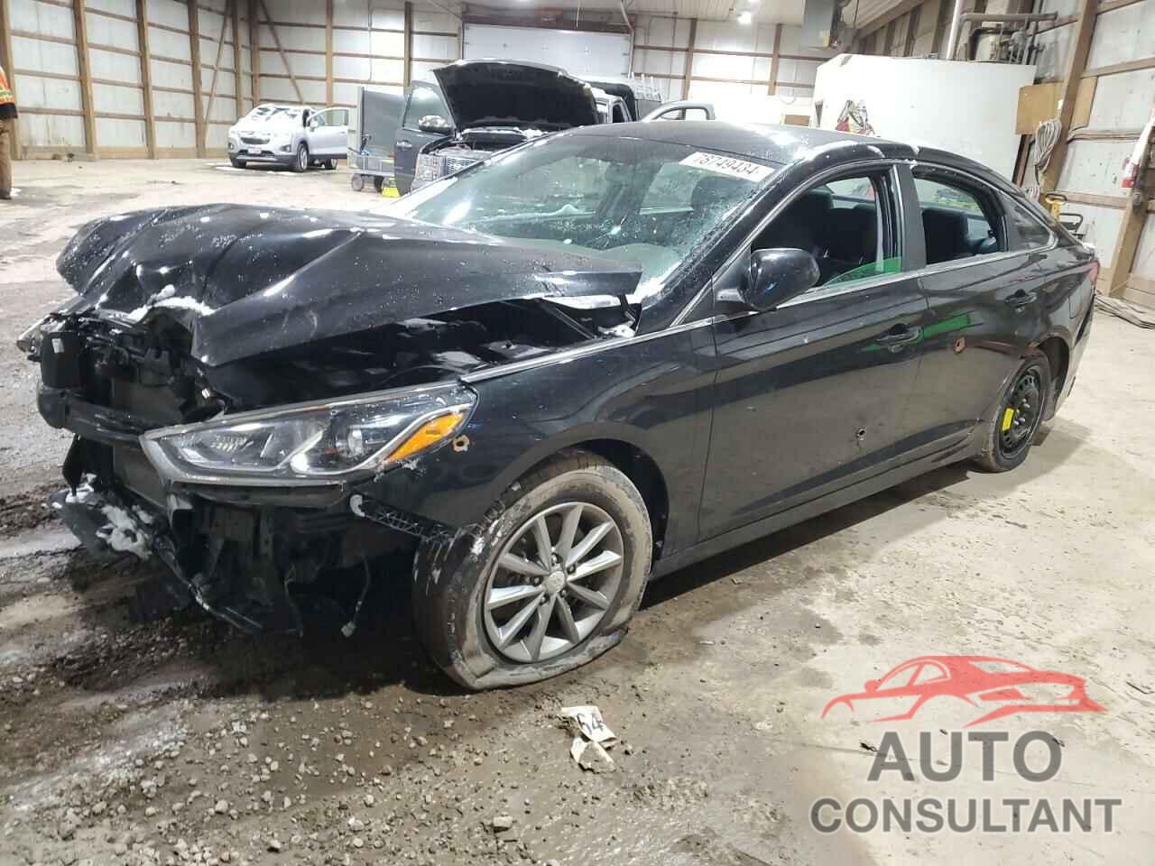 HYUNDAI SONATA 2019 - 5NPE24AF6KH770641