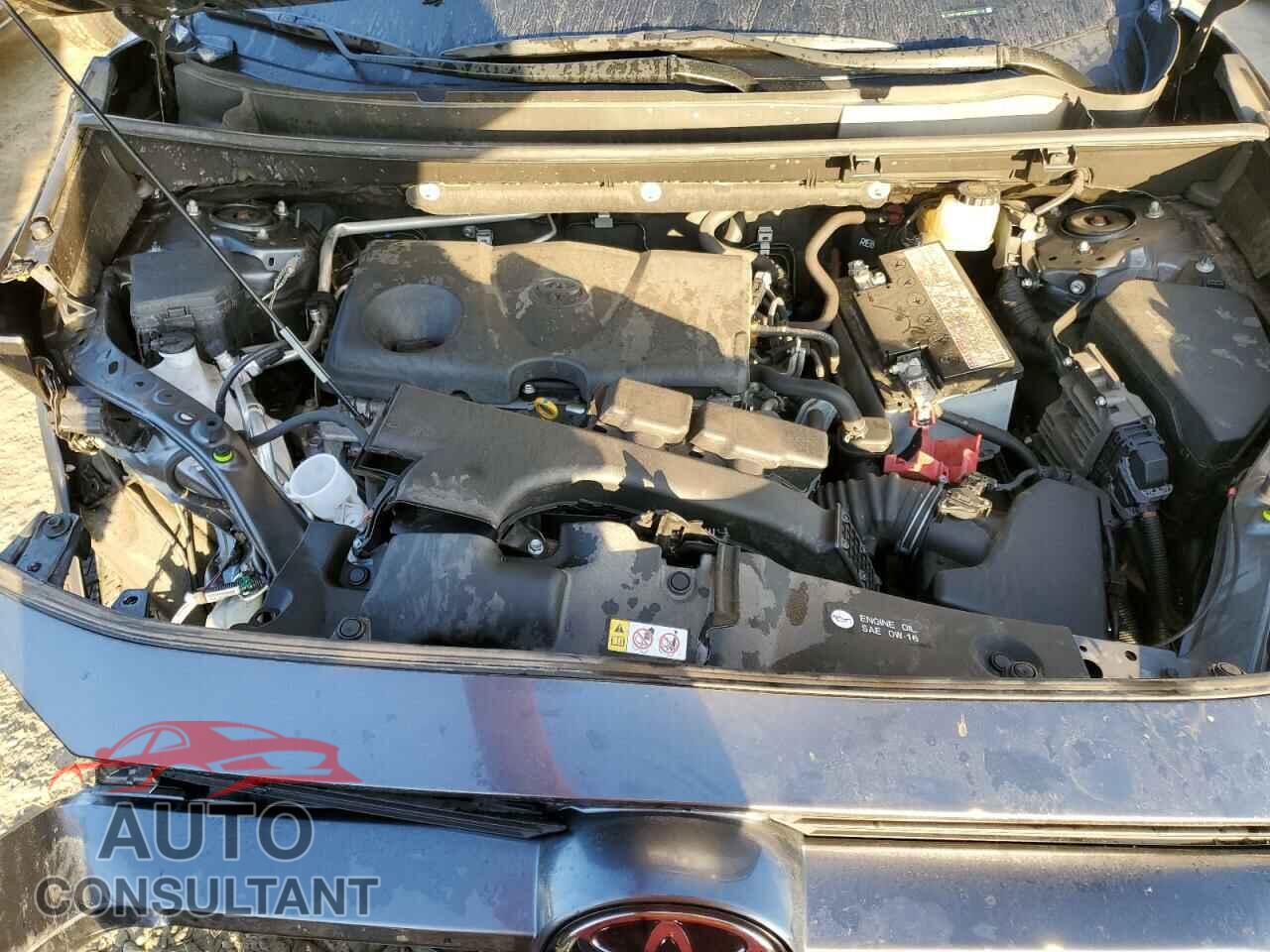 TOYOTA RAV4 2019 - JTMP1RFV3KD035114