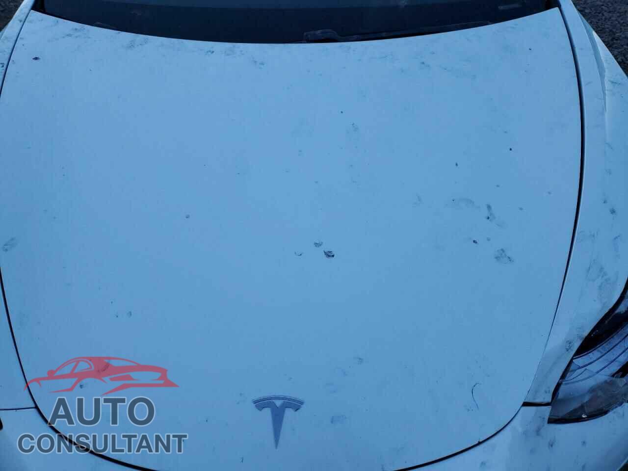 TESLA MODEL 3 2020 - 5YJ3E1EA3LF625486
