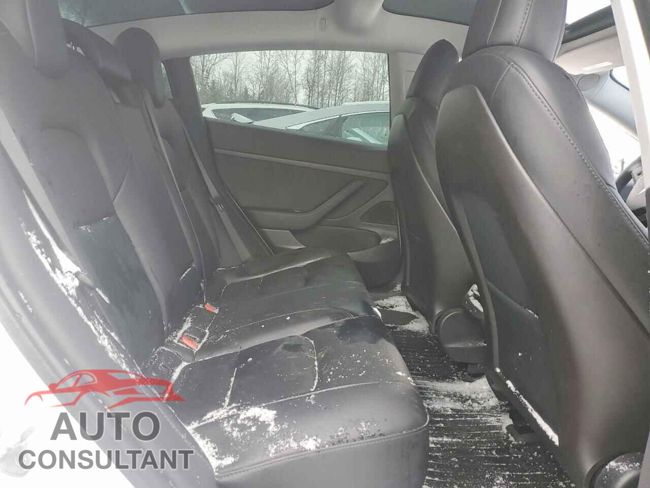 TESLA MODEL 3 2020 - 5YJ3E1EA2LF715809