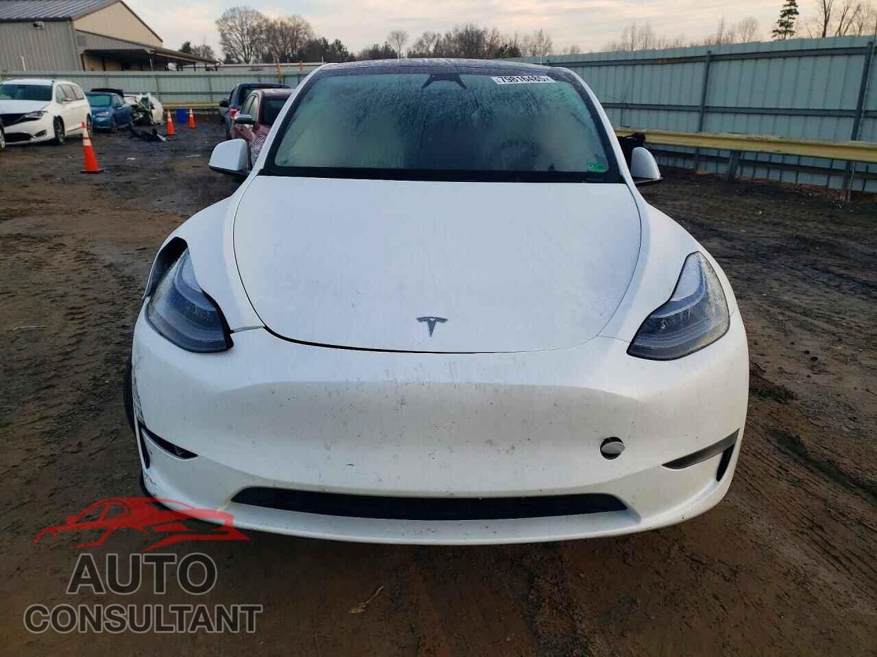 TESLA MODEL Y 2024 - 7SAYGAEEXRF206646