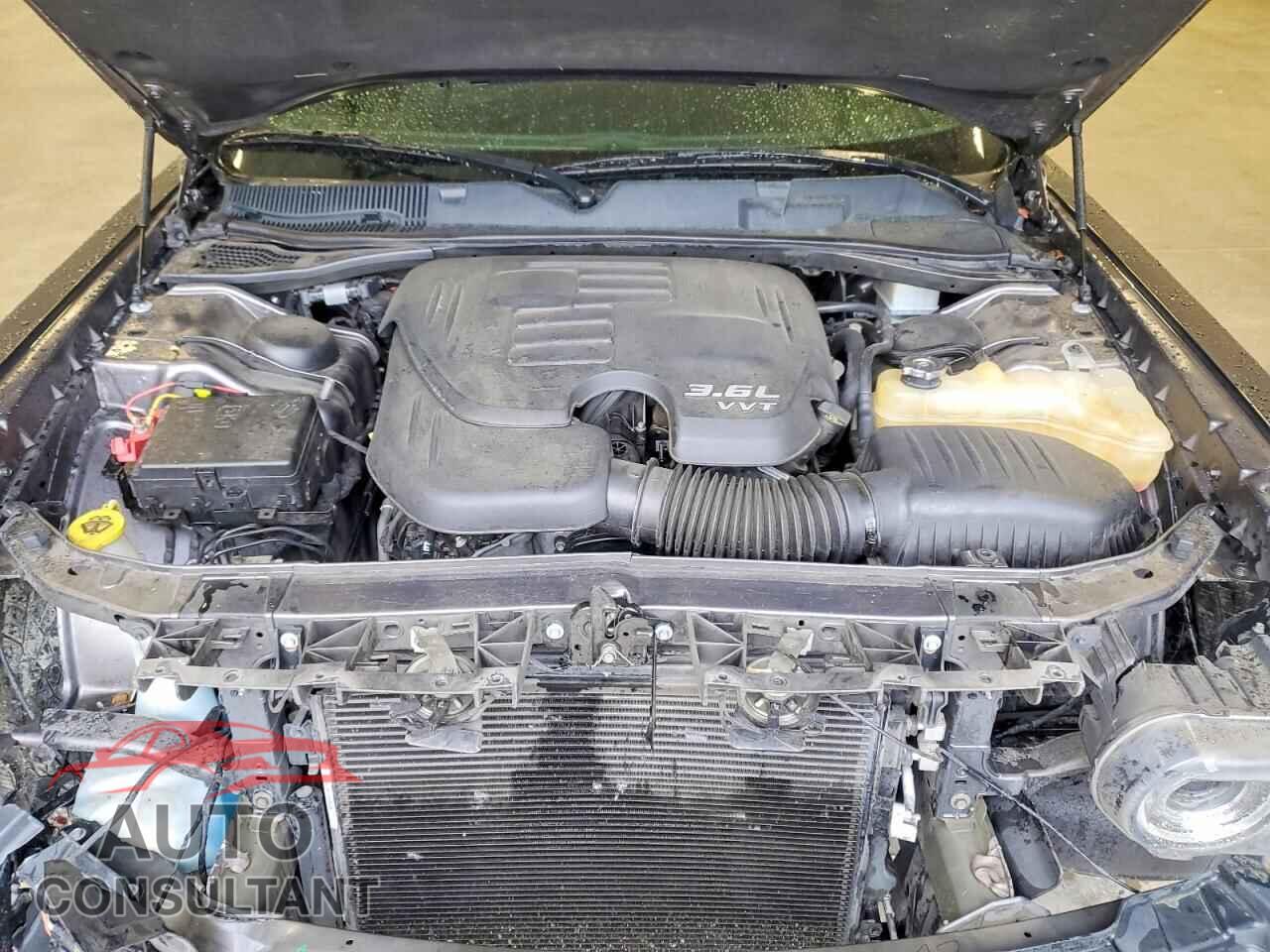 DODGE CHALLENGER 2019 - 2C3CDZAG7KH557542