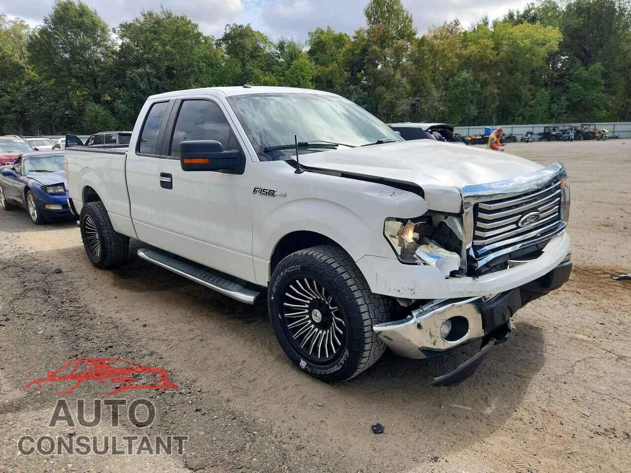 FORD F150 2011 - 1FTFX1CF4BFA40738