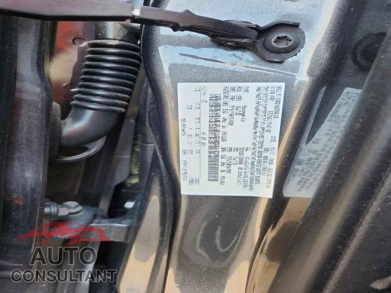FORD FOCUS 2017 - 1FADP3F24HL252051