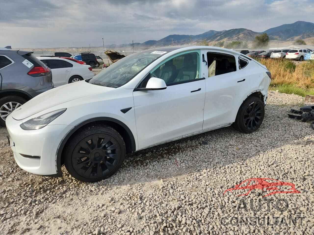 TESLA MODEL Y 2022 - 7SAYGDEE1NF493595