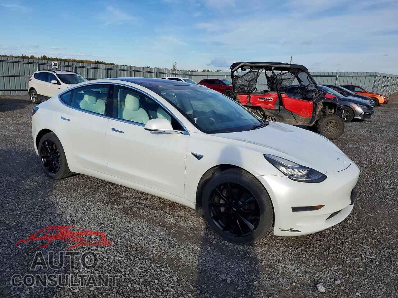 TESLA MODEL 3 2020 - 5YJ3E1EA3LF604038