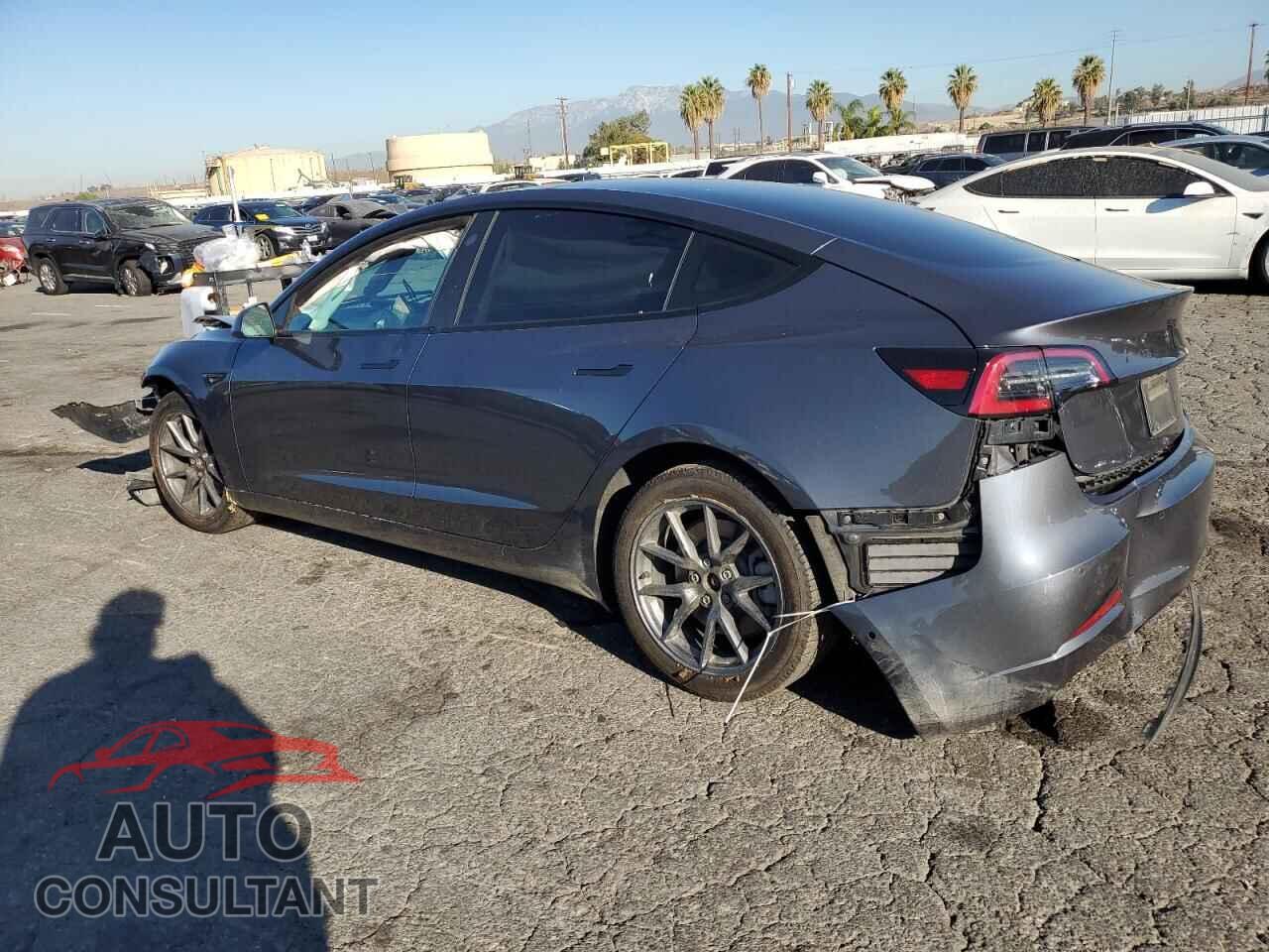 TESLA MODEL 3 2022 - 5YJ3E1EB7NF259706