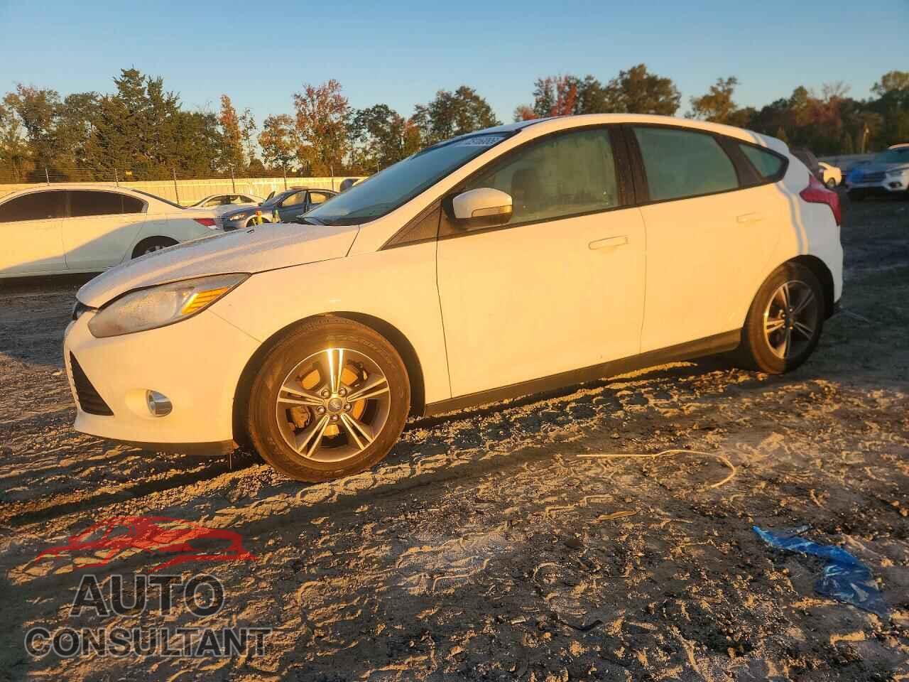 FORD FOCUS 2012 - 1FAHP3K28CL134438