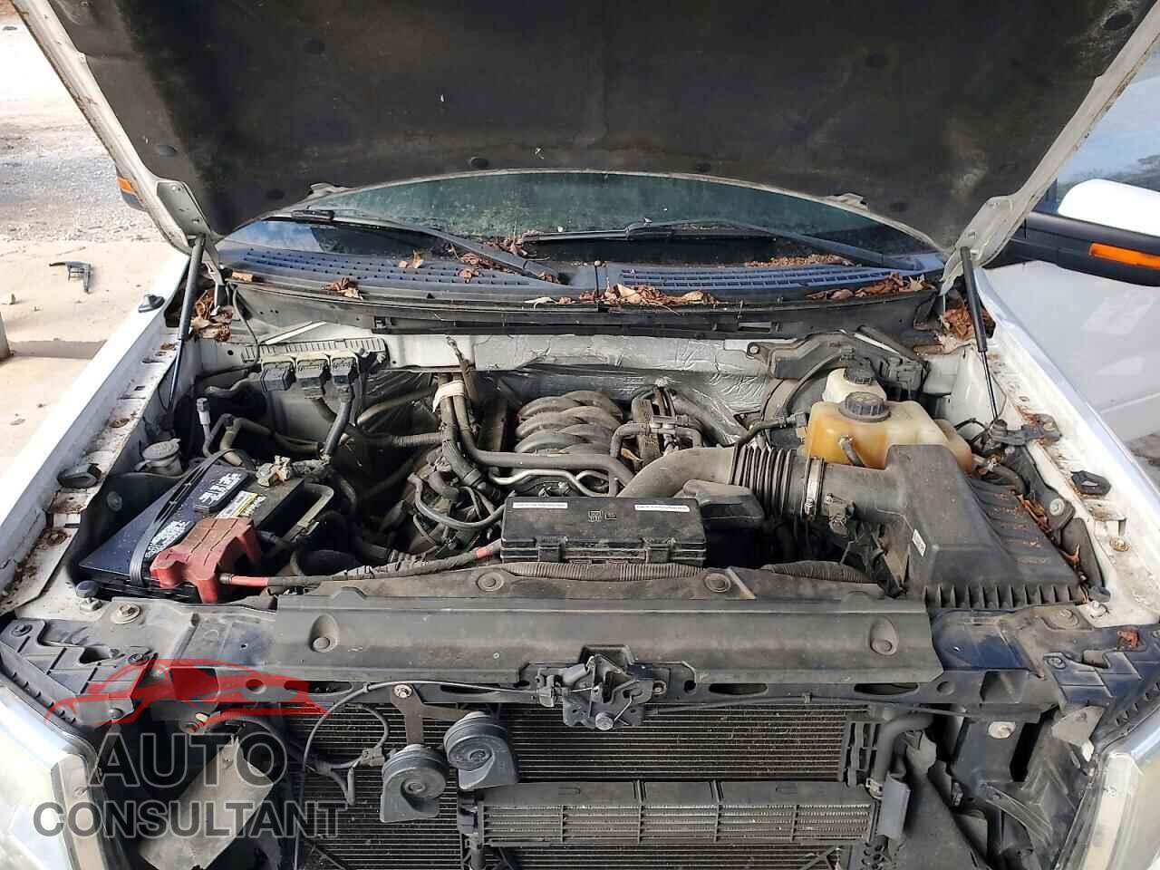 FORD F-150 2013 - 1FTFW1EF2DFD44461