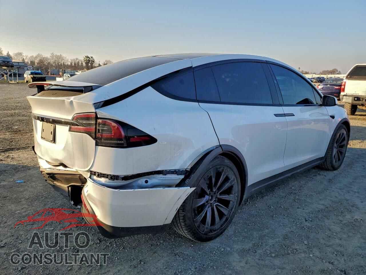 TESLA MODEL X 2024 - 7SAXCDE59RF436624