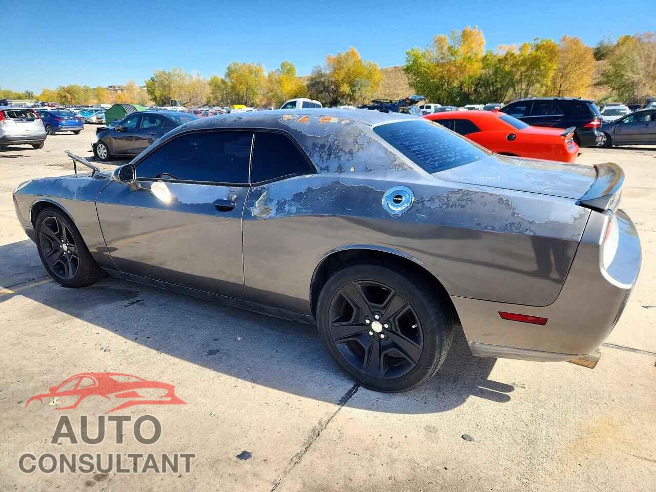 DODGE CHALLENGER 2014 - 2C3CDYBT8EH304451